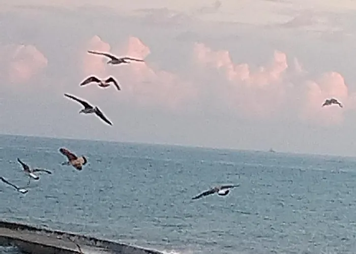 Attichetto Vista Mare Terrazzatissimo Asterspace Άντζιο